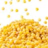 Millet