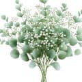Baby’s Breath