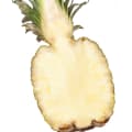 SugarLoaf Pineapple