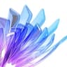 Flower Prism