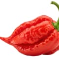 Ghost Pepper