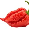 Ghost Pepper