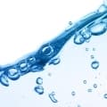 Aquaflora™