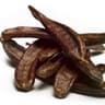 Carob tree