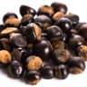 Guarana