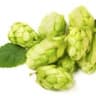 Hops