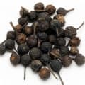 Cubeb or Tailed pepper