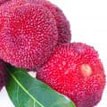 Yumberry