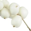 Snowberry