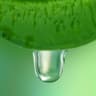 Green Sap
