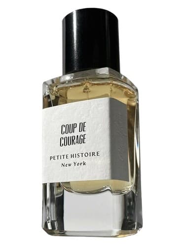 Coup de Courage - کودتای شجاعت