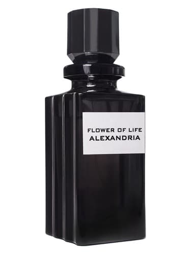 Flower of life Alexandria - گل زندگی اسکندریه