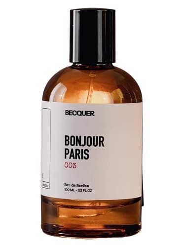 Bonjour Paris - بونجور پاریس