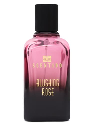 Blushing Rose - رز رد شده