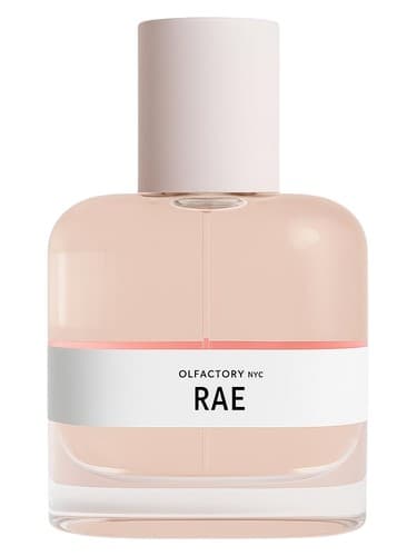 Rae - رائه