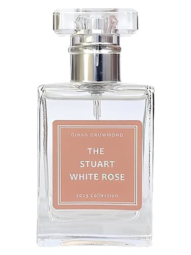The Stuart White Rose - رز وایت استوارت