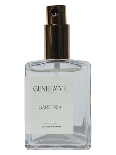 Gardenia - گاردنیا