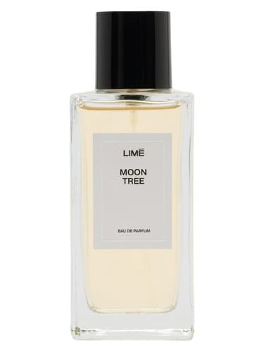 Moon Tree - درخت مون