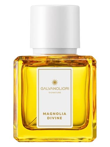 Galvanoliori Magnolia Divine - Galvanoliori Magnolia الهی