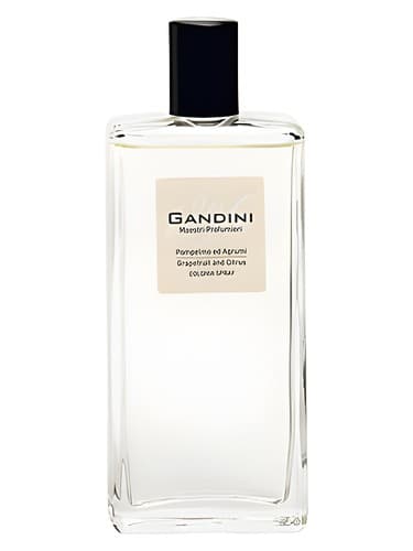 Grapefruit and Citrus - گریپ فروت و مرکبات