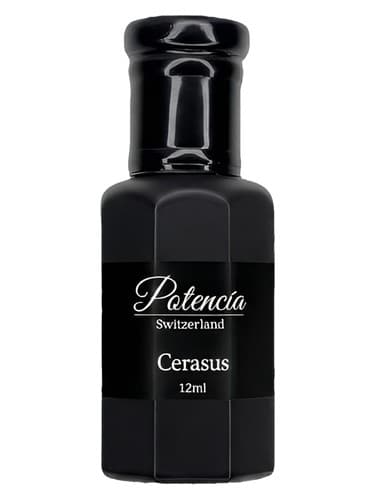 Cerasus