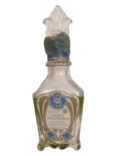 Rosée Printemps