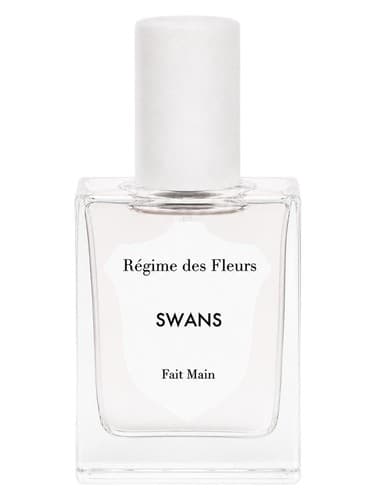Swans - قوها