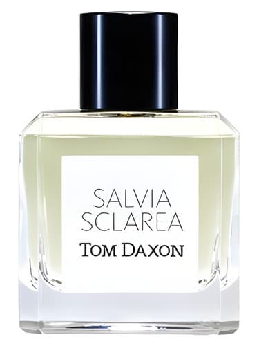 Salvia Sclarea - سالویا اسکلریا