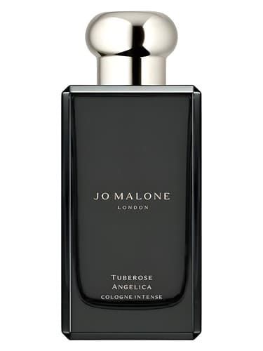 Tuberose Angelica - گلپر گلپر