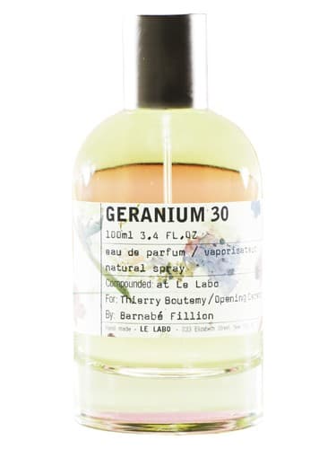 Geranium 30 - شمعدانی 30
