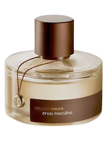 Ervas Masculino - ارواس ماسکولینو