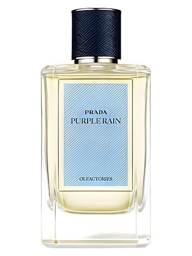 Purple Rain - باران وایولت