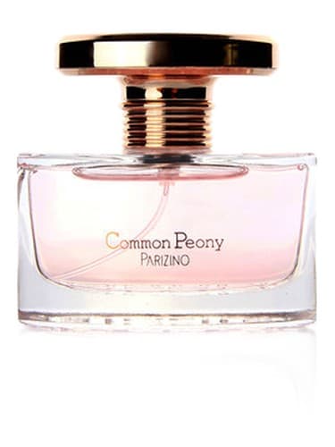 Common Peony 国色天香 - گل صد تومانی معمولی 国色天香