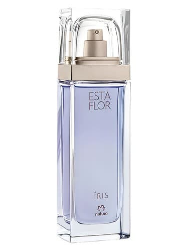 Esta Flor Íris - استا فلور ایریس