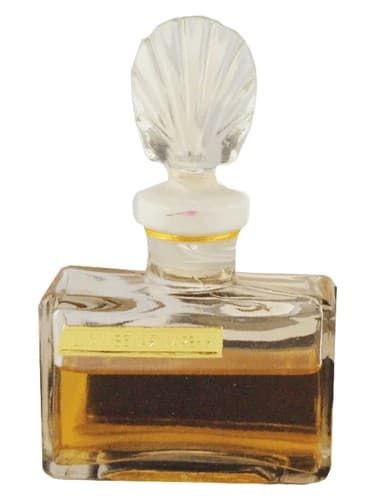 Белая сирень (White Lilac)