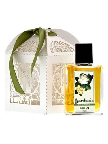 Gardenia - گاردنیا