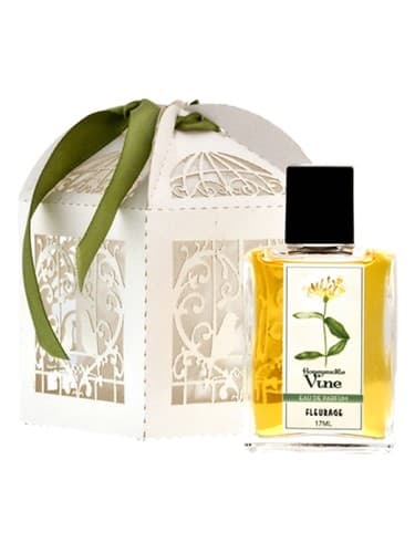 Honeysuckle Vine - تاک پیچ امین الدوله