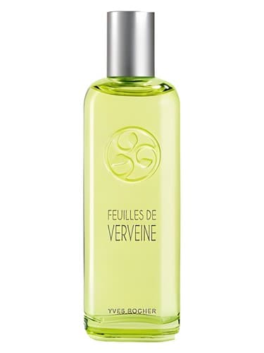 Feuilles de Verveine