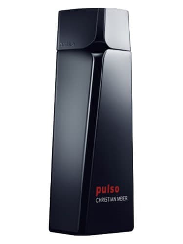 Pulso - پالسو