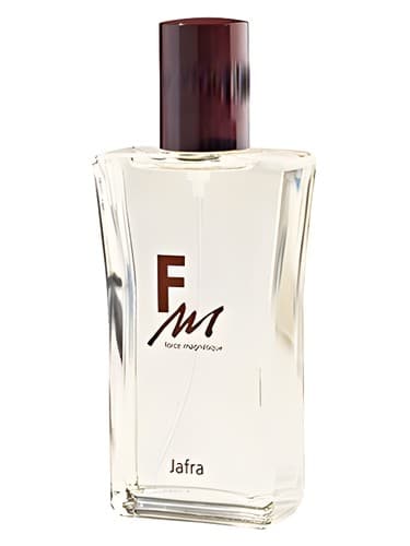 FM Force Magnétique
