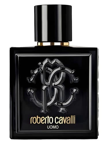 Roberto Cavalli Uomo - روبرتو کاوالی اومو