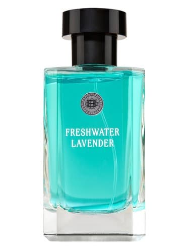 Freshwater Lavender - اسطوخودوس واتر سوییت