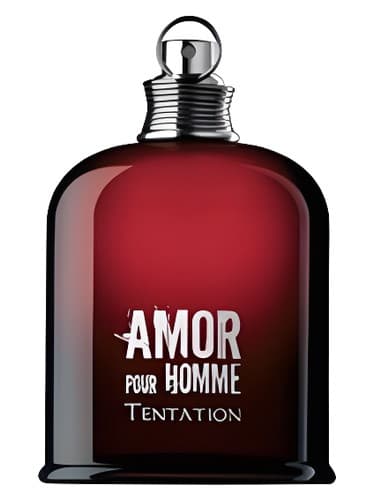 Amor Pour Homme Tentation - چادر عمور پور هوم