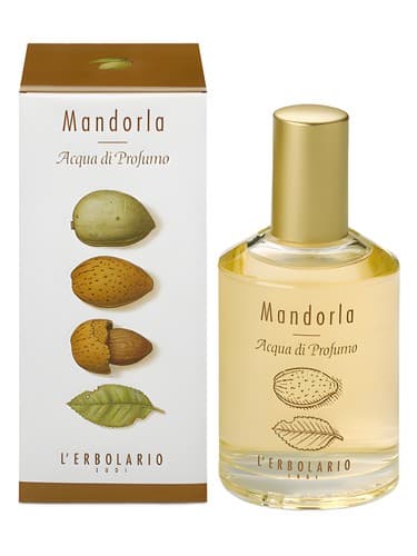 Mandorla - ماندورلا
