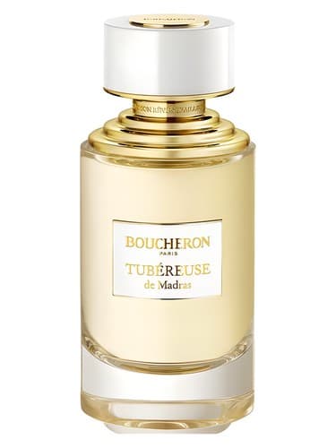 Tubéreuse De Madras