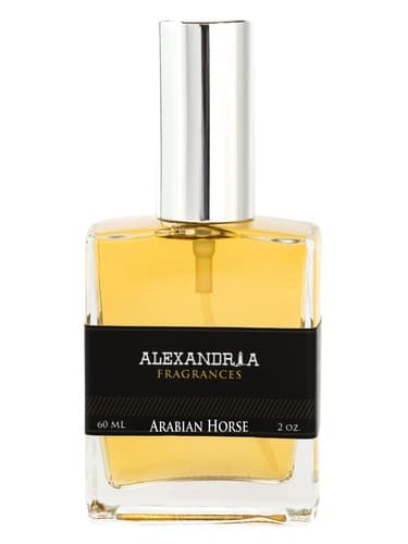Arabian Horse - اسب عرب