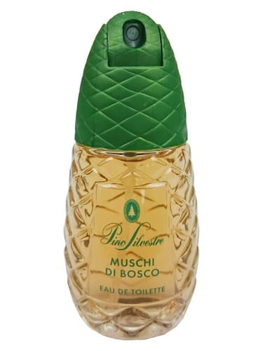Pino Silvestre Muschi Di Bosco - پینو سیلوستره موشی دی بوسکو