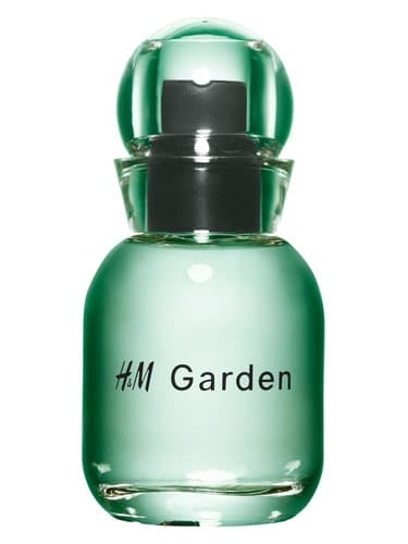 H&M Garden - Sunlit dew - باغ اچ اند ام - شبنم نور سان