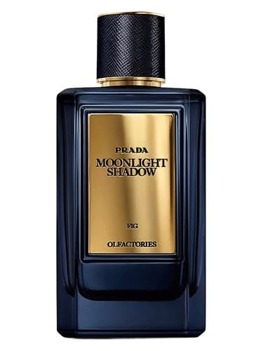 Mirages Moonlight Shadow - شدو مهتاب سراب