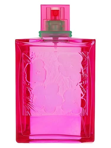Pop pour Femme